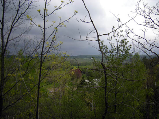 DSCN3705