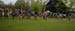 DSCN3667